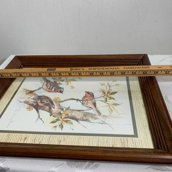 Framed birds print by Paul Whitney Hunter 16x13 - Picture 6 of 7